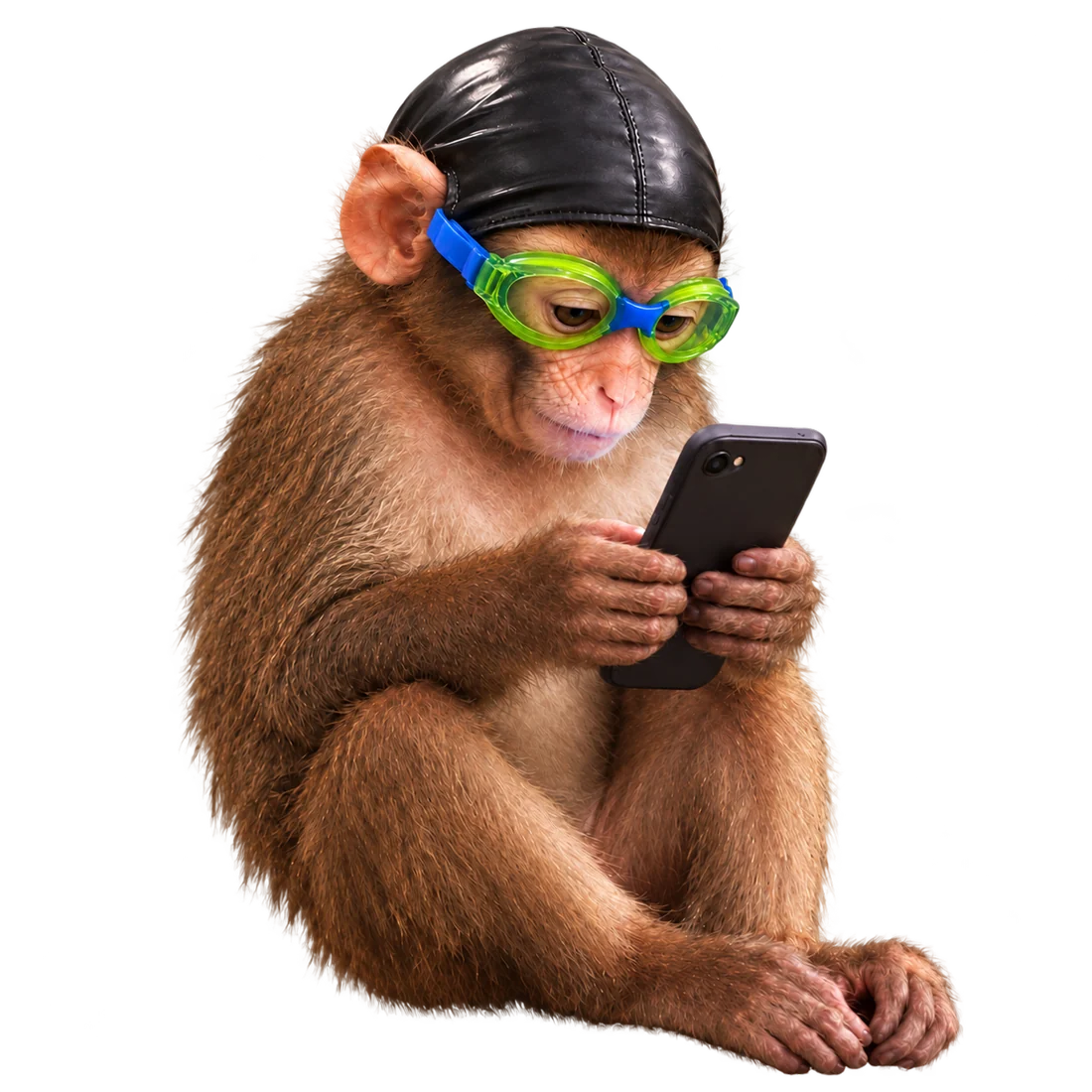 Monkey in swim goggles looking at a phone